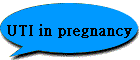UTI in pregnancy